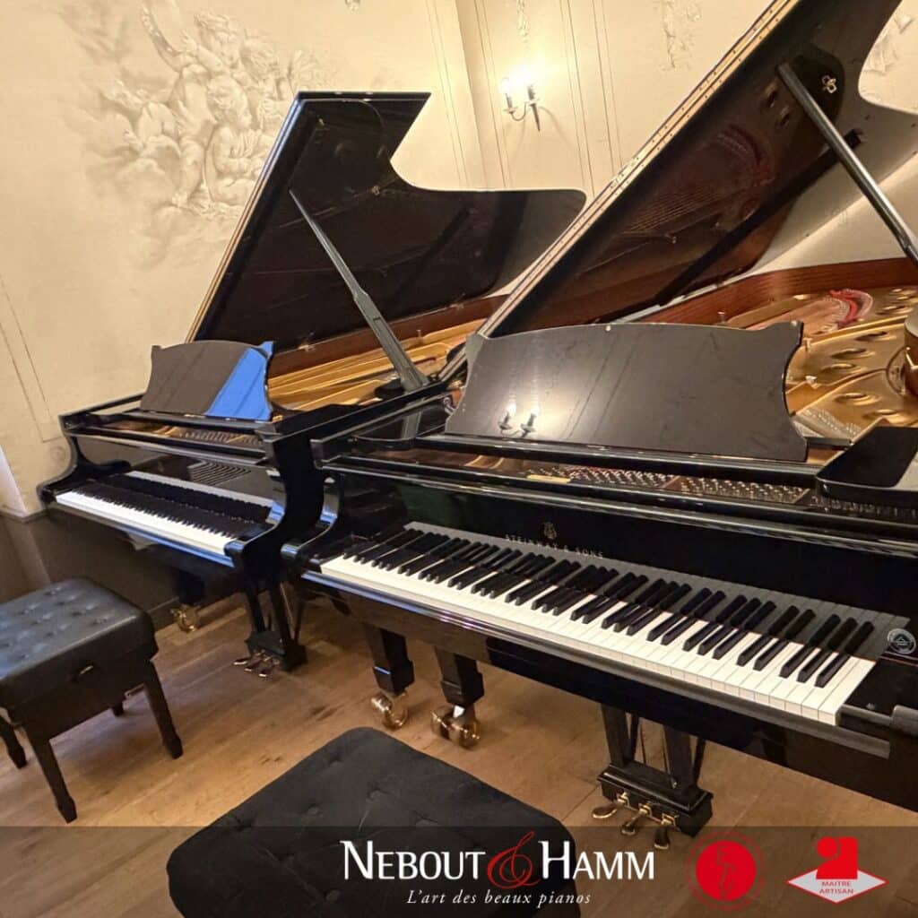 Steinway D