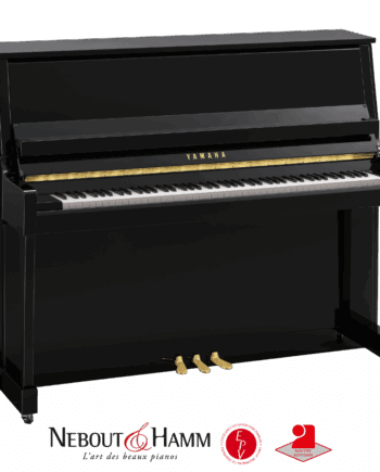 Yamaha B30 noir
